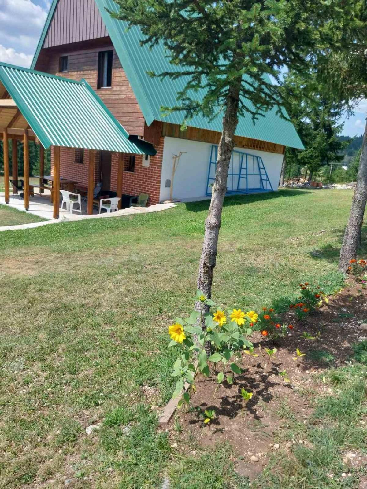 House In Forest Жабляк Экстерьер фото