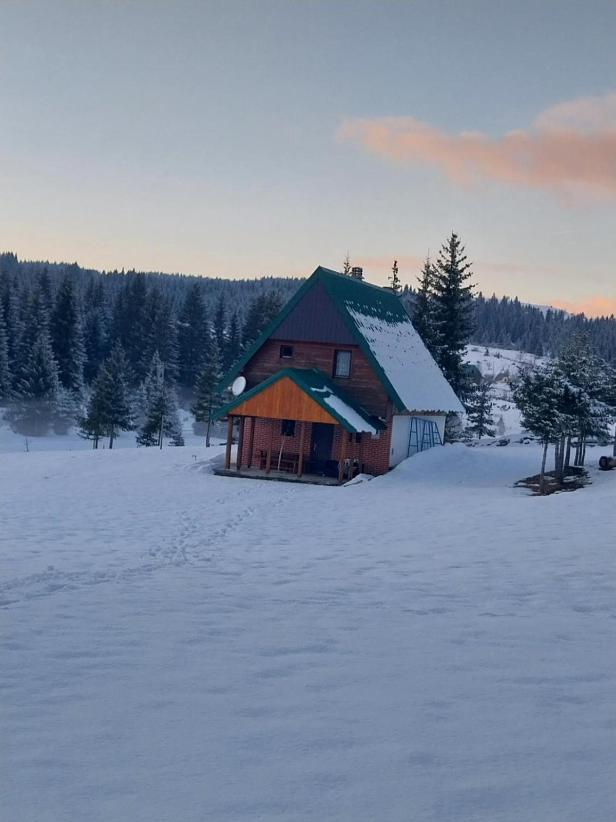 House In Forest Жабляк Экстерьер фото